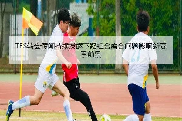 TES转会传闻持续发酵下路组合磨合问题影响新赛季前景